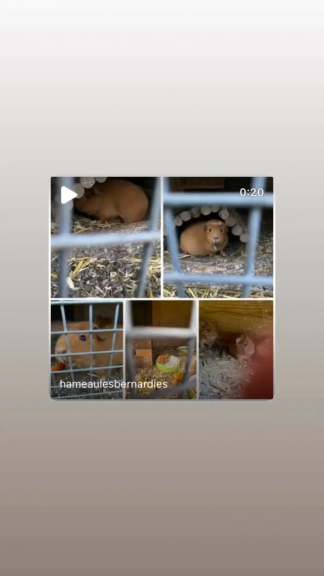 Instagram-Beitrag 17945340440199335